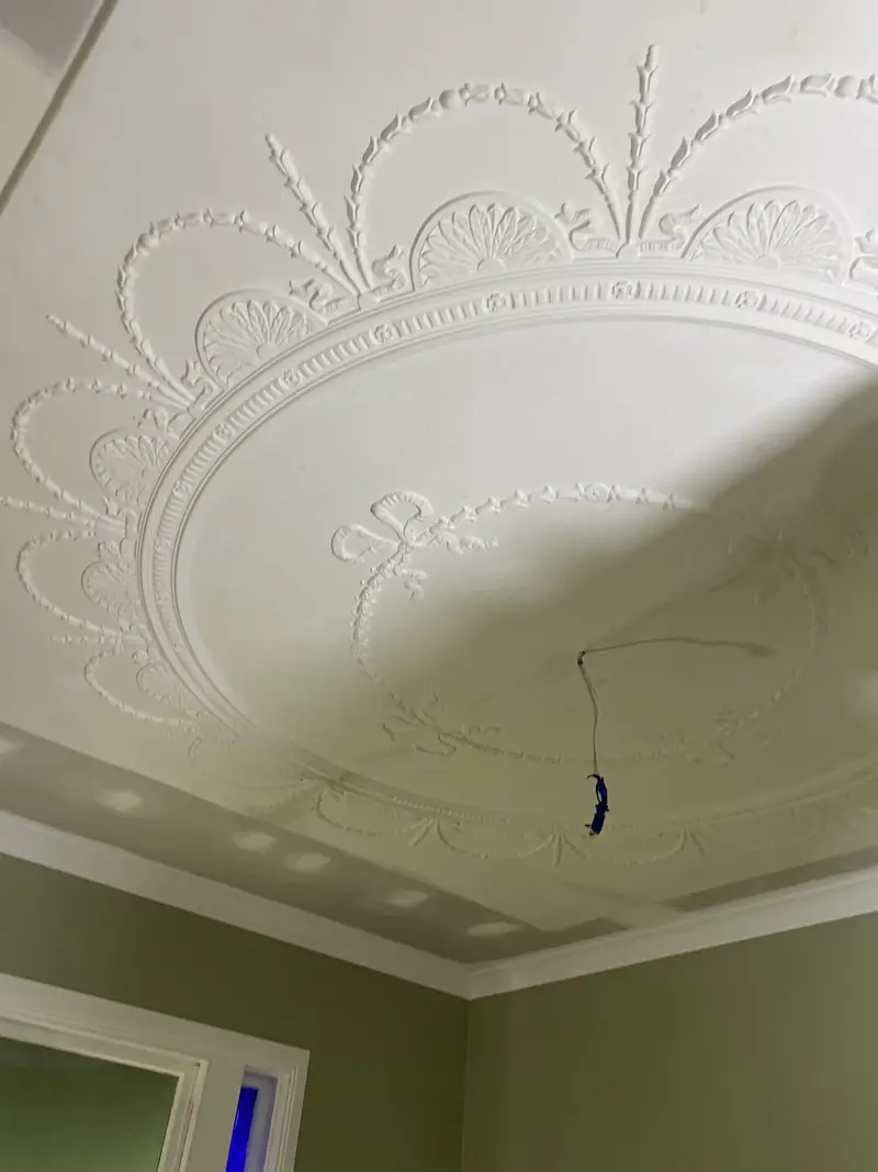 Ceiling Roses