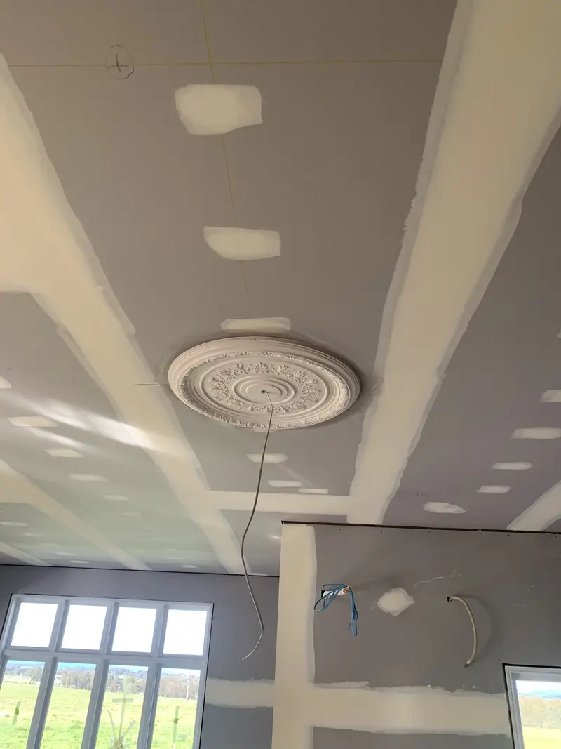 Plaster ceiling rose installed around central light fitting in Seymour home