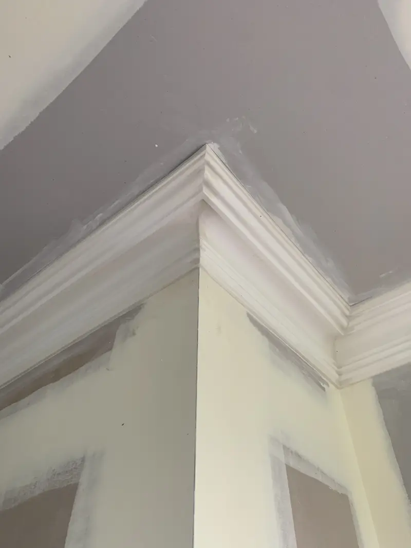 Decorative Cornices